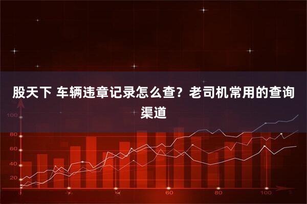 股天下 车辆违章记录怎么查？老司机常用的查询渠道