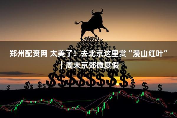 郑州配资网 太美了！去北京这里赏“漫山红叶”｜周末京郊微度假